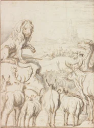 Der Löwe, König der Tiere